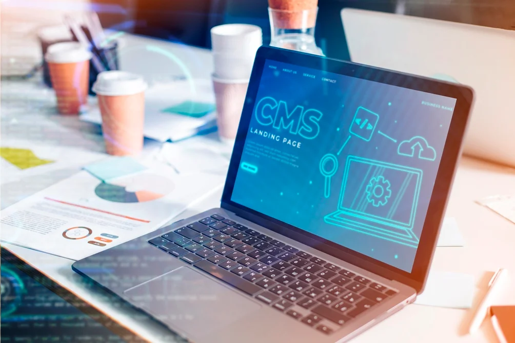 WordPress Development